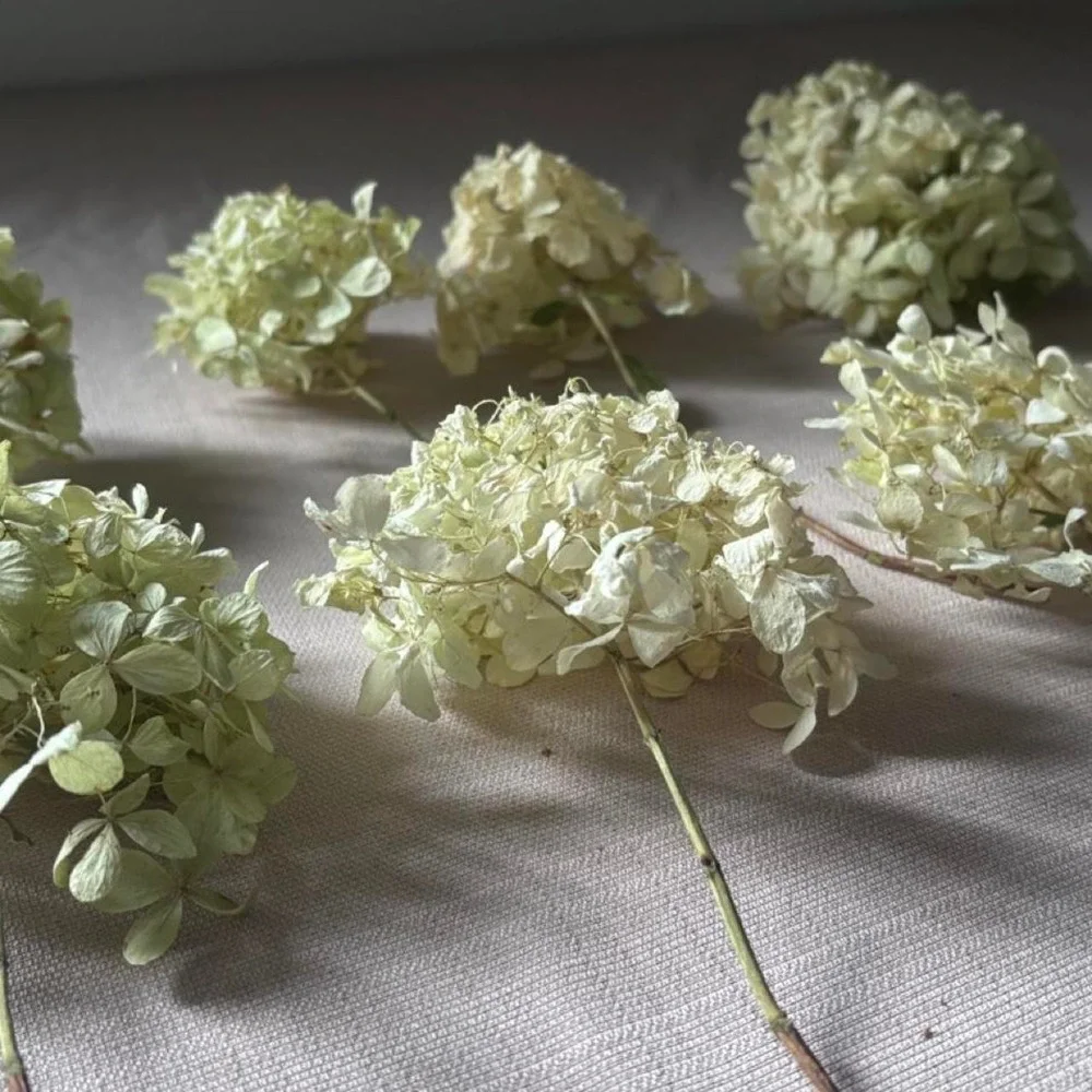 Handmade white hydrangea
